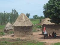 Habitats traditionnel du nord Cameroun: cliquer pour aggrandir